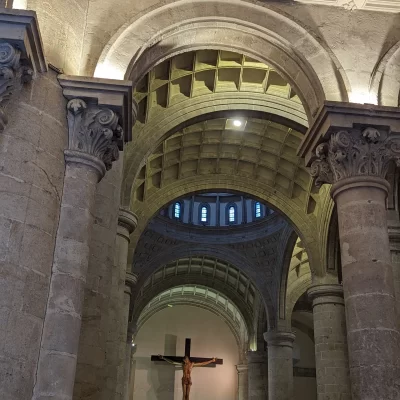 FSF_ (189)